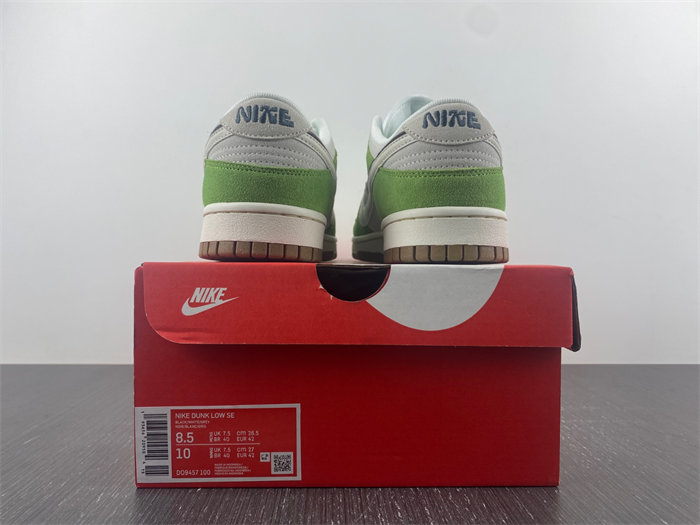 NK Dunk Low SE 85 DO9457-100
