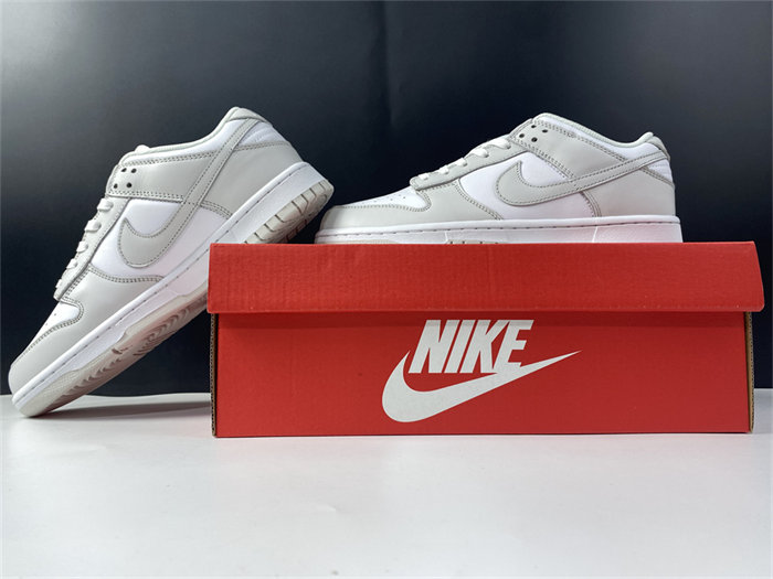 NK Dunk Low Photon Dust DD1503-103