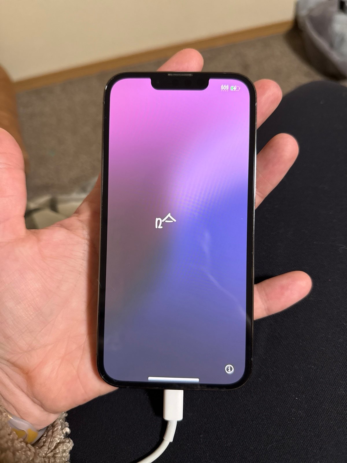 iPhone 13 Pro 7V13