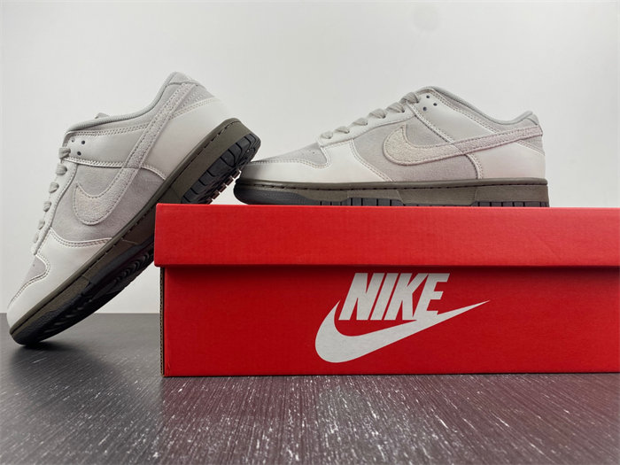 NK Dunk Low Ironstone FD9746-001