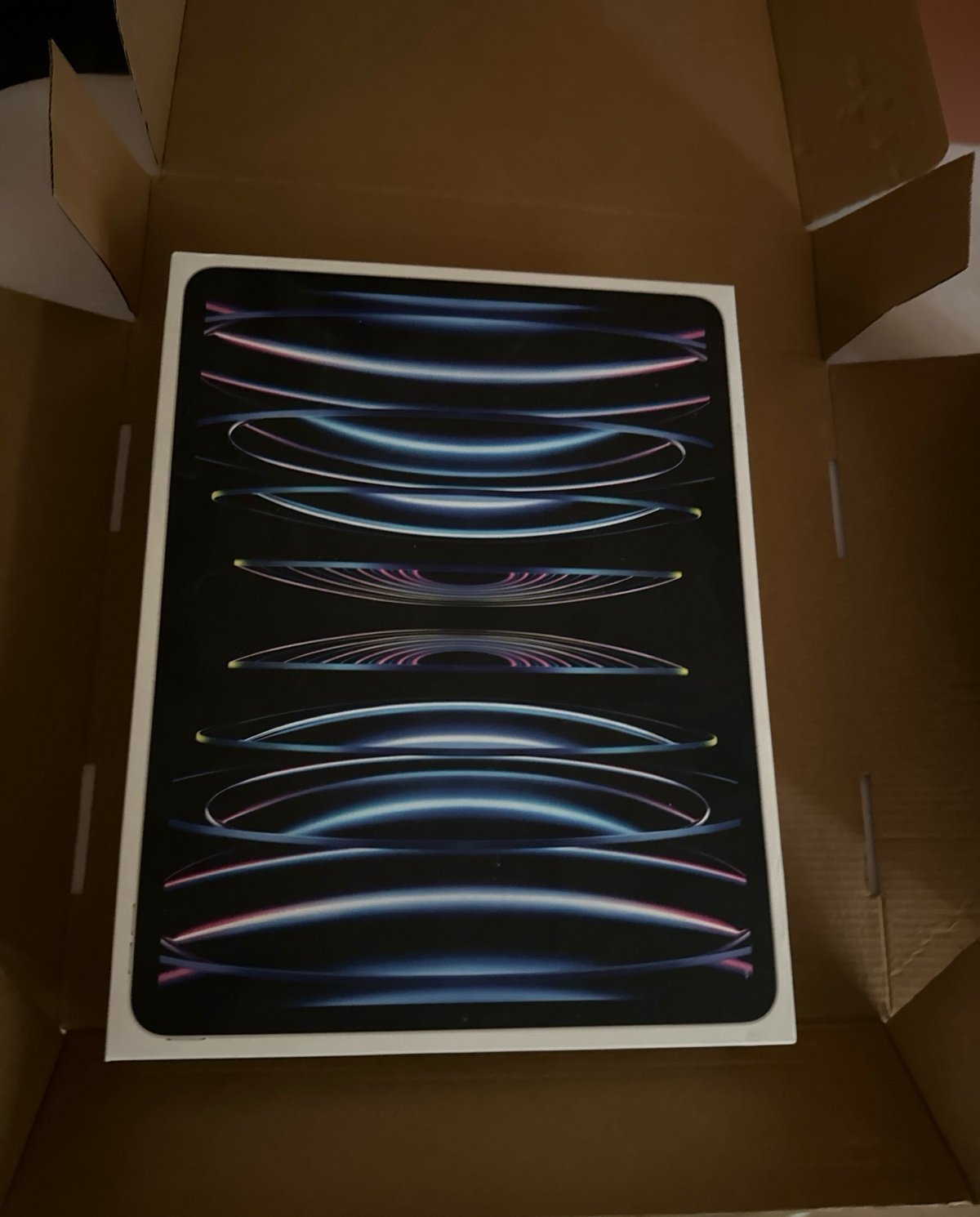 Apple iPad Pro 12.9 6th Gen 256GB Wifi + Cellular 3E21