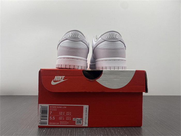 NK Dunk Low Venice DD1503-116