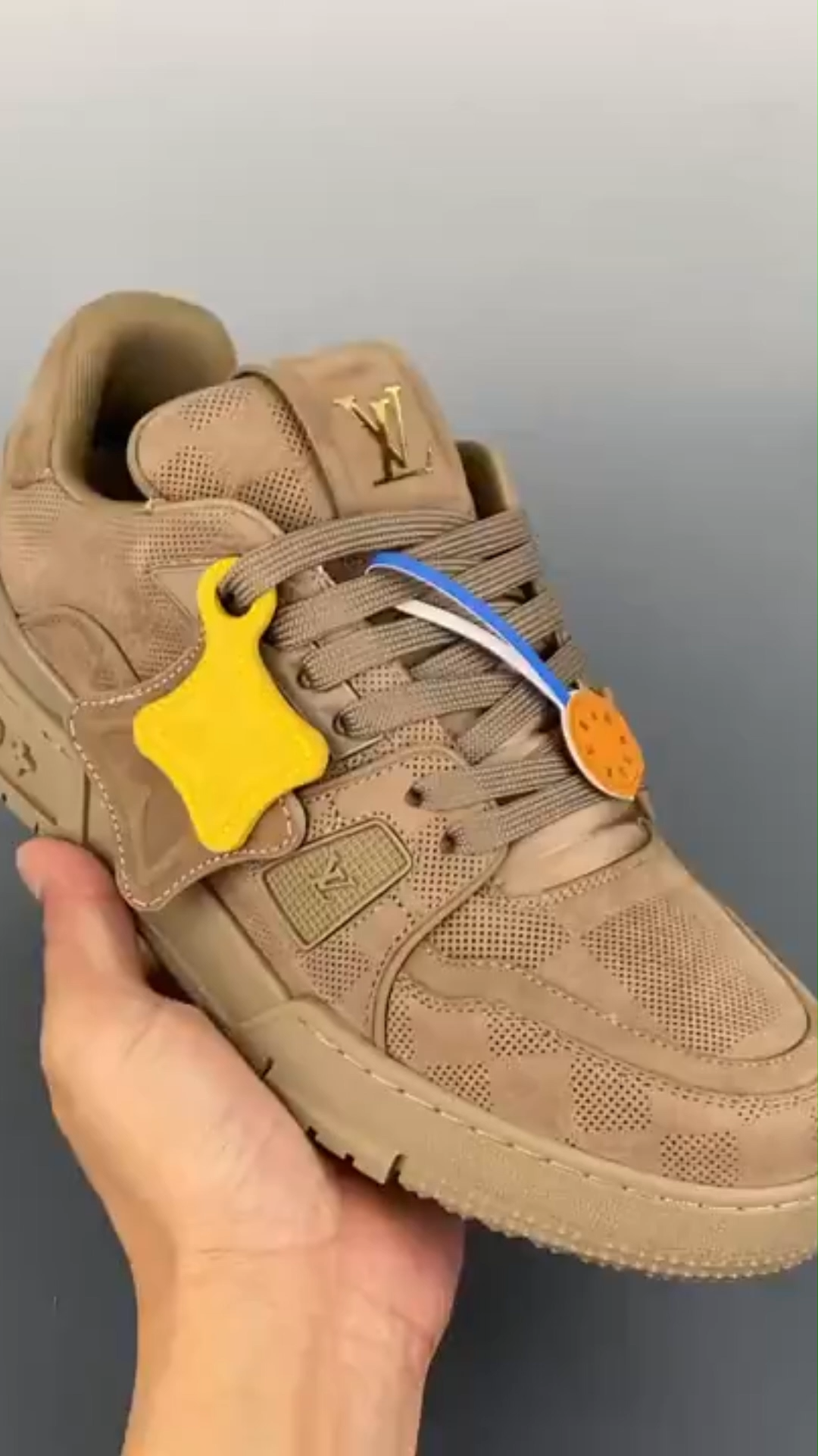 LV TRAINER