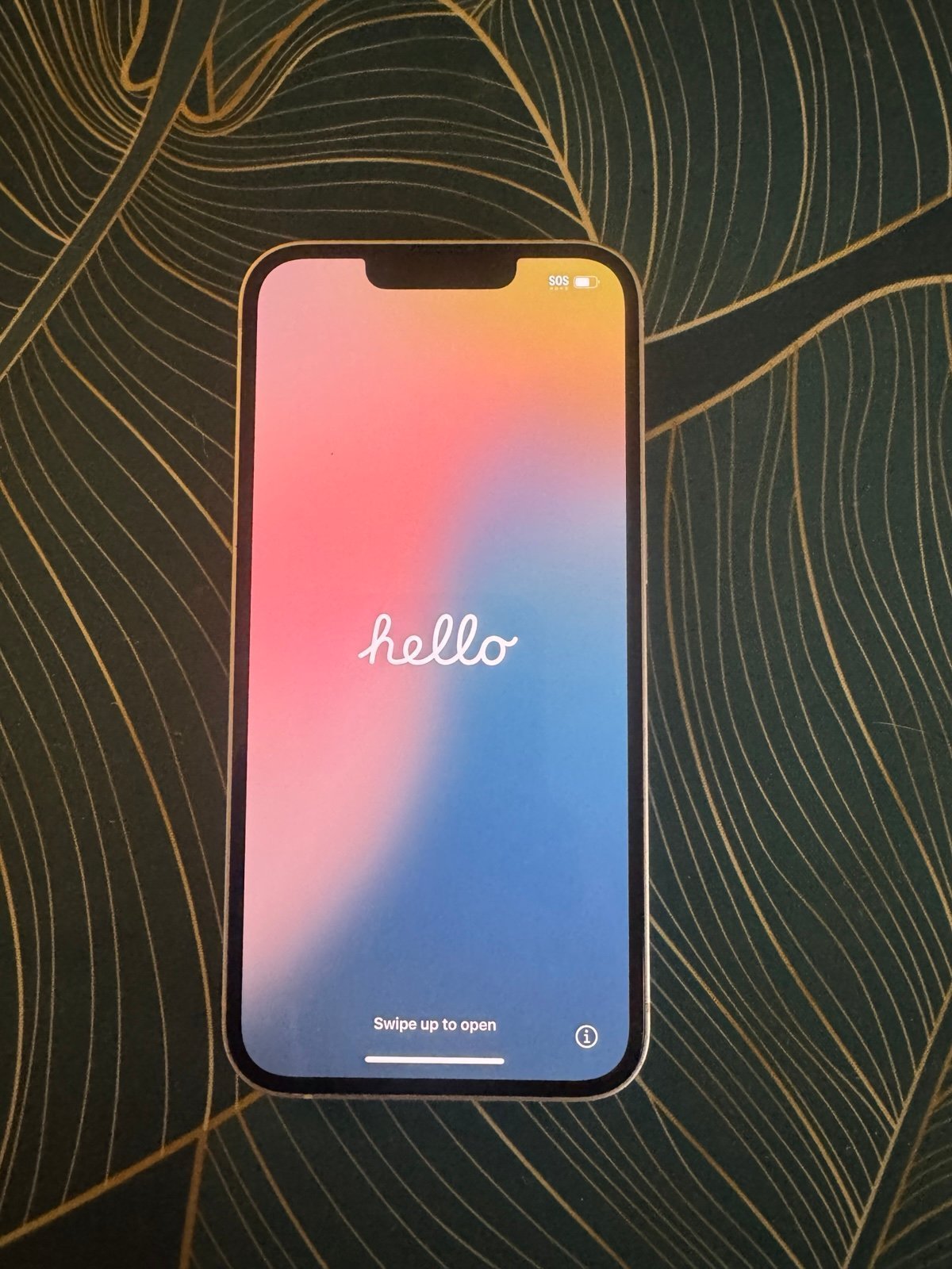 iPhone 13 9W73