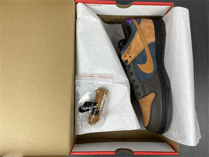 NK Dunk Low Cider DH0601-001