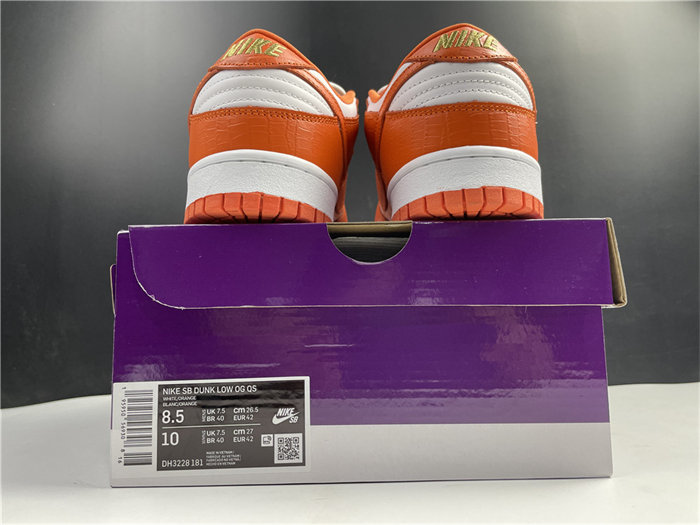 NK SB Dunk DH3228-181