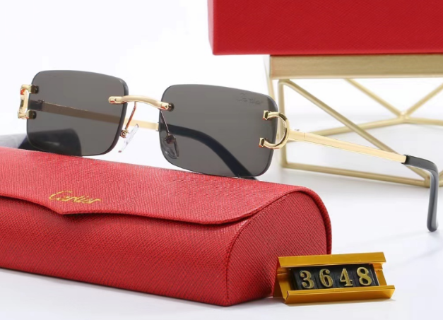 G18：Cartier Rimless Rectangular Sunglasses