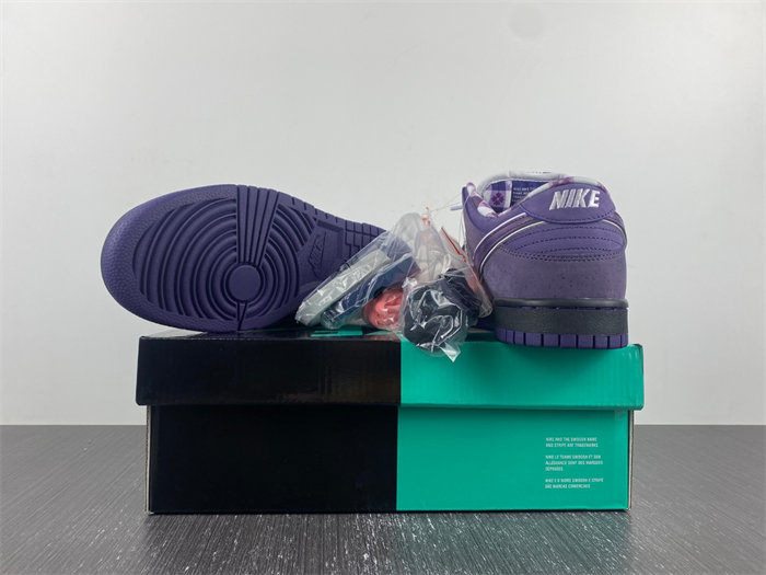 NK SB Dunk Low Concepts Purple Lobster BV1310-555
