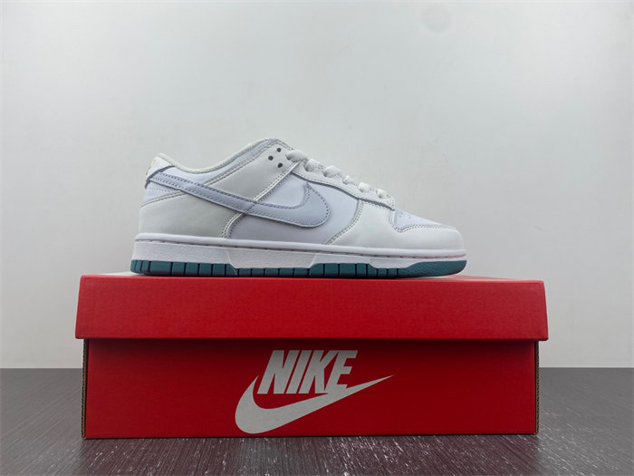 NK DUNK LOW 2023 FD9911-101