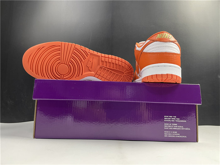 NK SB Dunk DH3228-181