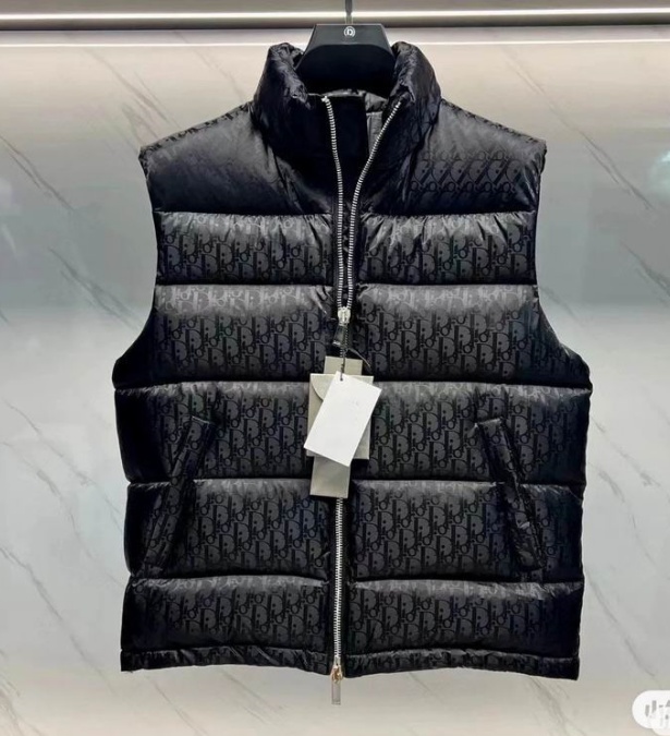 DR Down vest