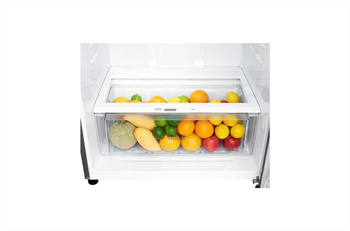 LG - Frigorifero 2 porte GTF744PZPED Classe E 509L-Platino