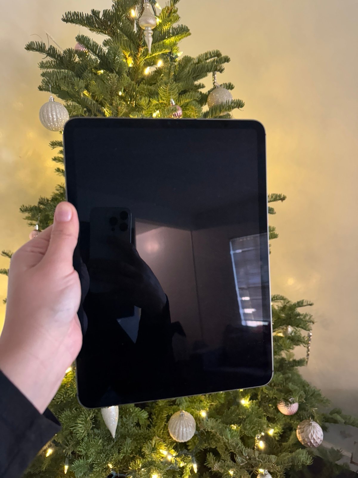 iPad Pro 2Q88