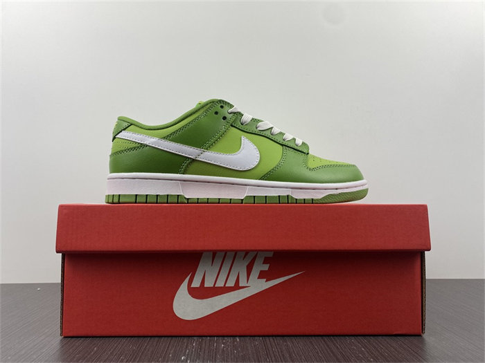 NK Dunk Low Chlorophyll DJ6188-300