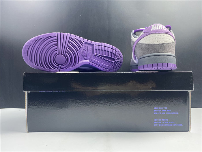 NK Dunk SB Low Purple Pigeon 304292-051