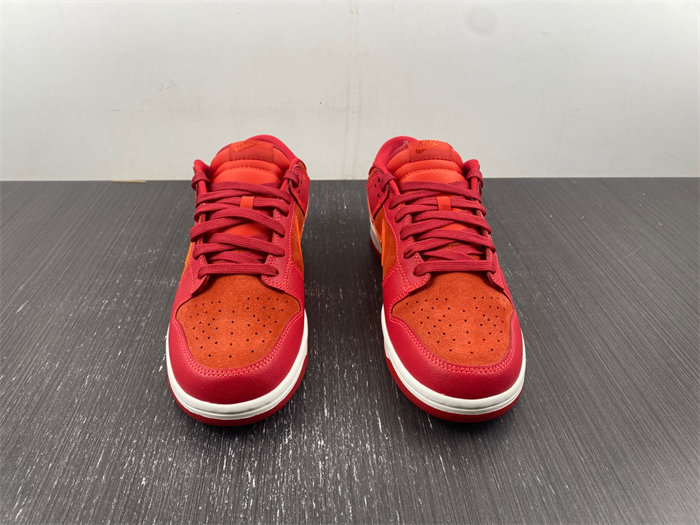 NK Dunk Low ATL FD0724-657
