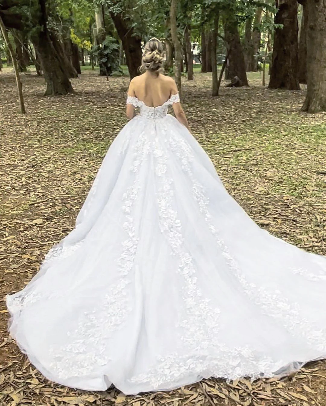 Ball Gown Off-the-Shoulder Tulle Wedding Dress with Appliques