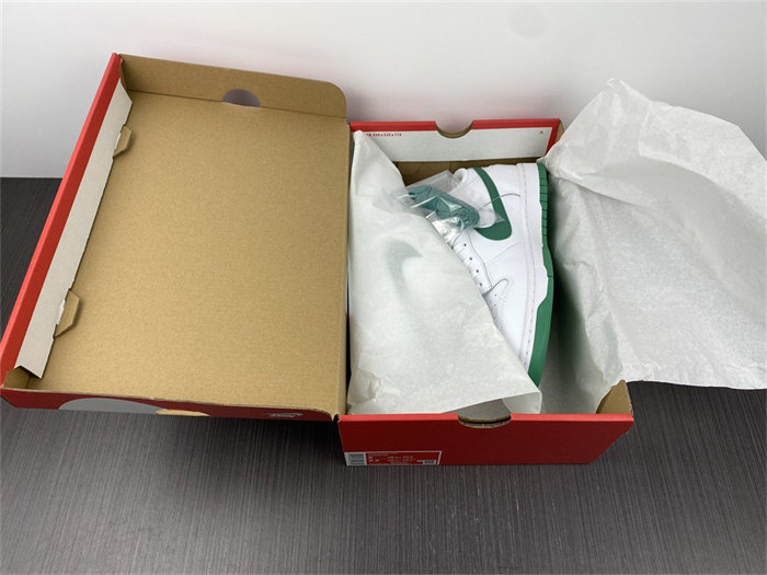 NK Dunk Low White Green Noise DD1503-112