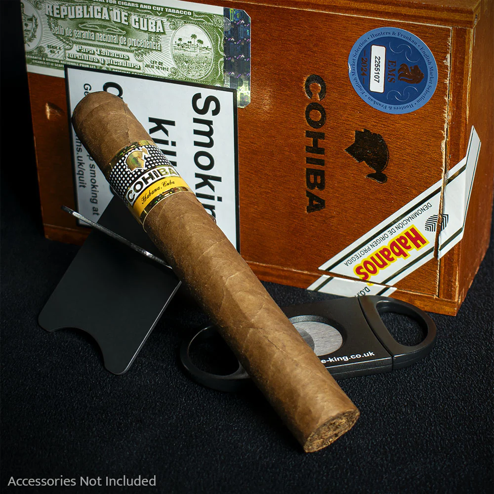 Cohiba Siglo VI Cuban Cigar - Single