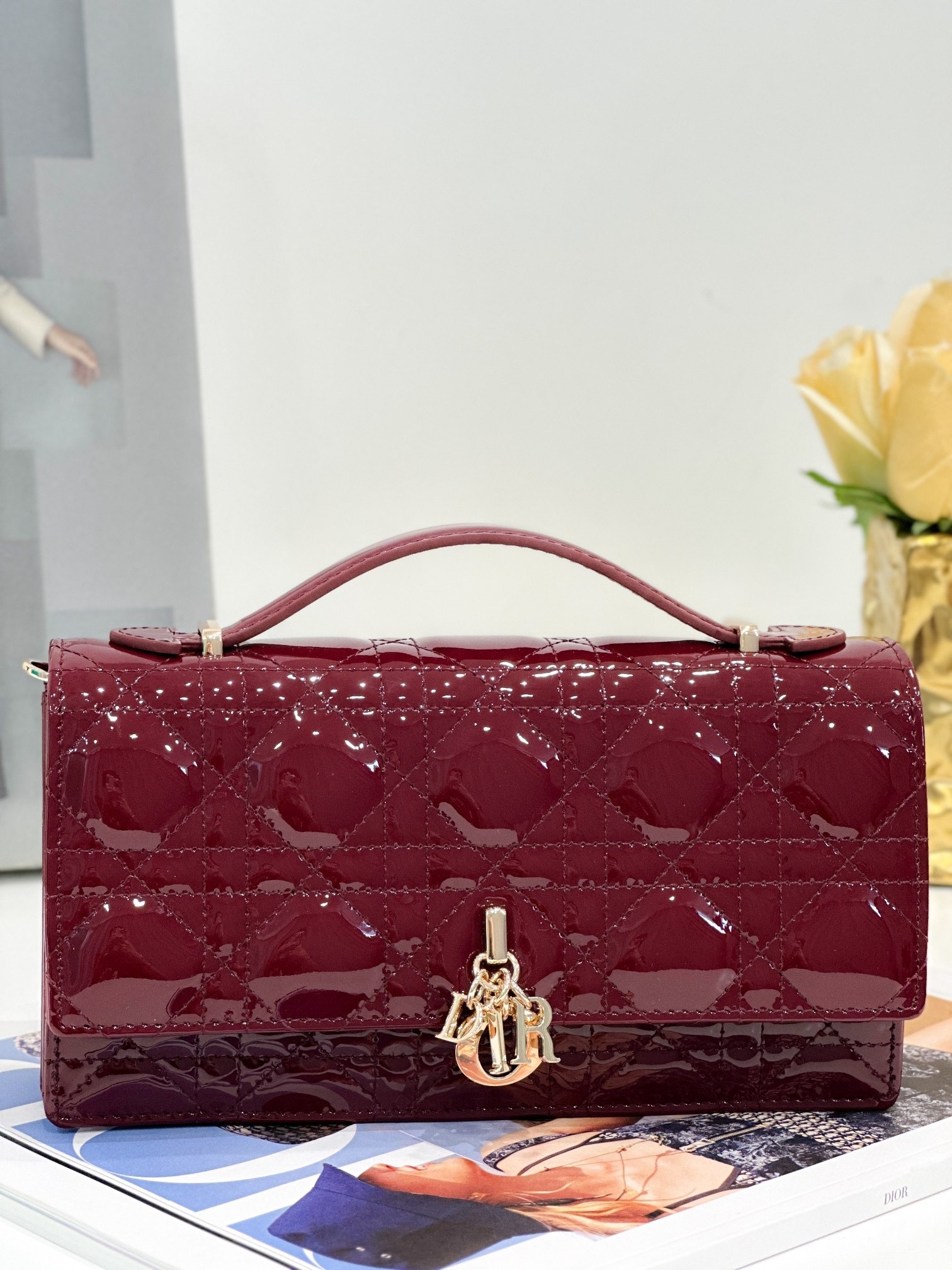 DR 23C Bag 21x11.5x4.5cm