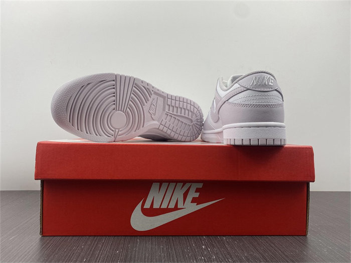 NK Dunk Low Venice DD1503-116