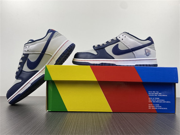 NK Dunk Low EMB NBA 75th Anniversary Brooklyn Nets DD3363-001