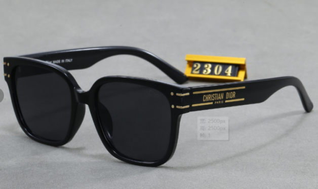 G16：Dior Square Sunglasses