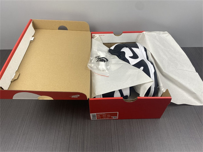 NK Dunk High Panda DD1869-103