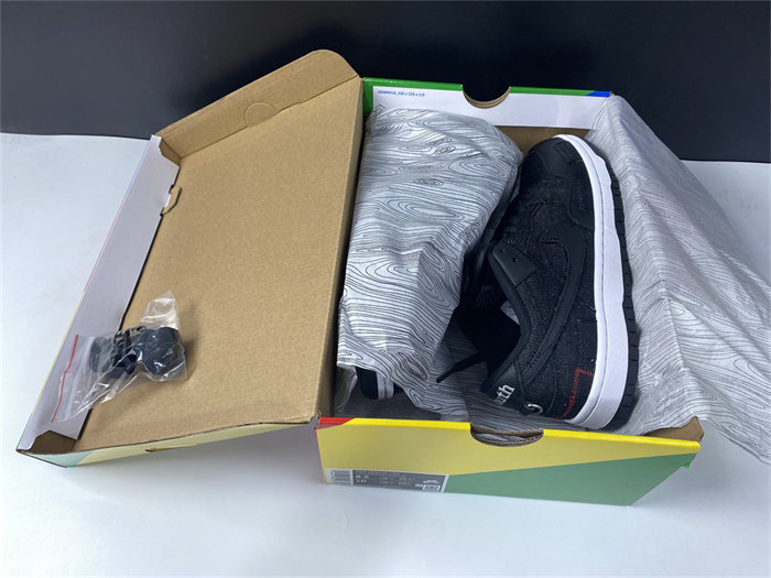 NK SB Dunk Low Wasted Youth DD8386-001