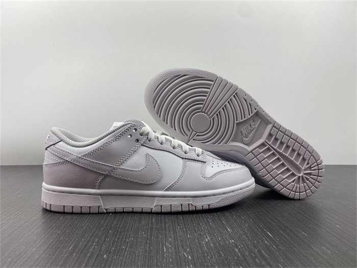 NK Dunk Low Venice DD1503-116