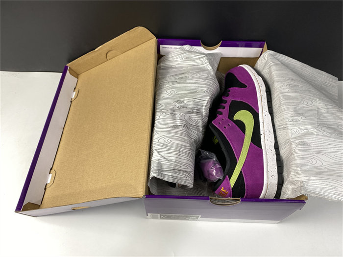 NK SB Dunk Low Pro ACG Terra Red Plum BQ6817-501