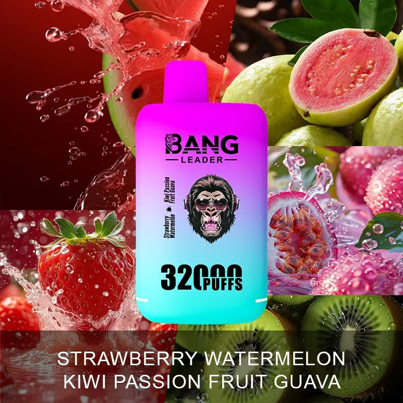 [Minimum order of 2]Bang Leader 32K Puffs 2-in-1 Prefilled Vape | Dual Flavor,  Rechargeable
