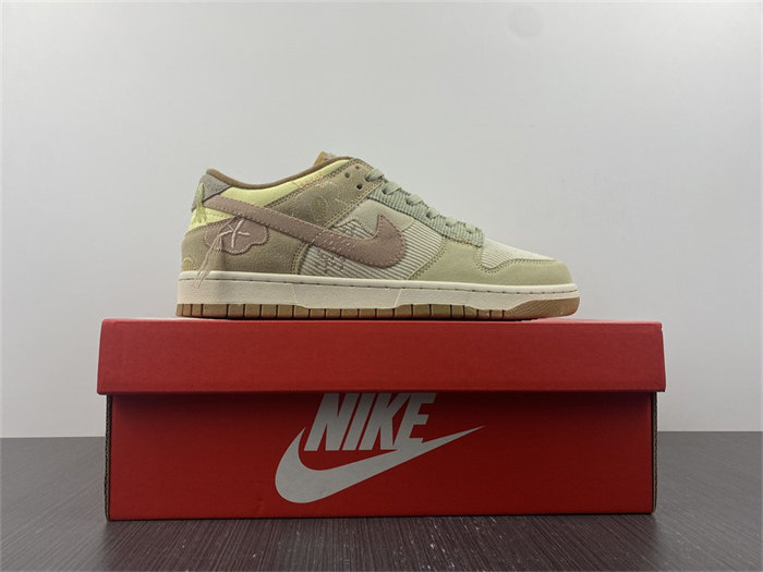NK Dunk Low On the Bright Side DQ5076-121