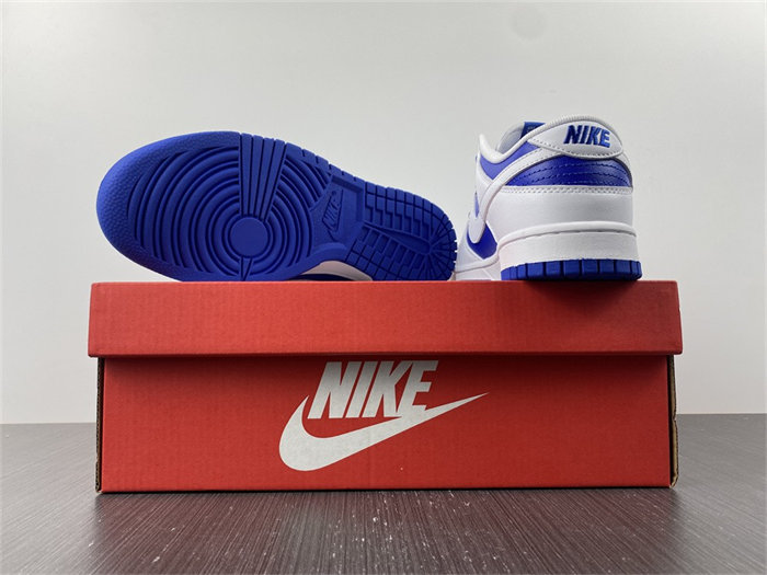 NK Dunk Low DD1391-401