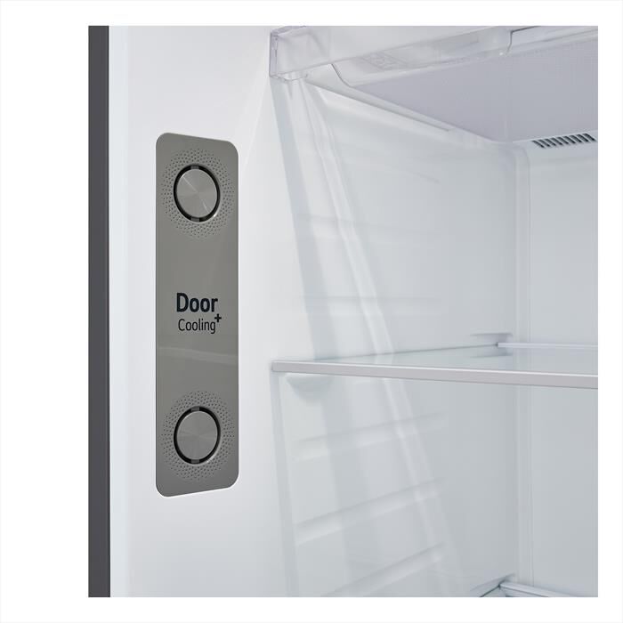 LG - Frigorifero 2 porte GTBV44PYBKD Classe E 461L-Argento