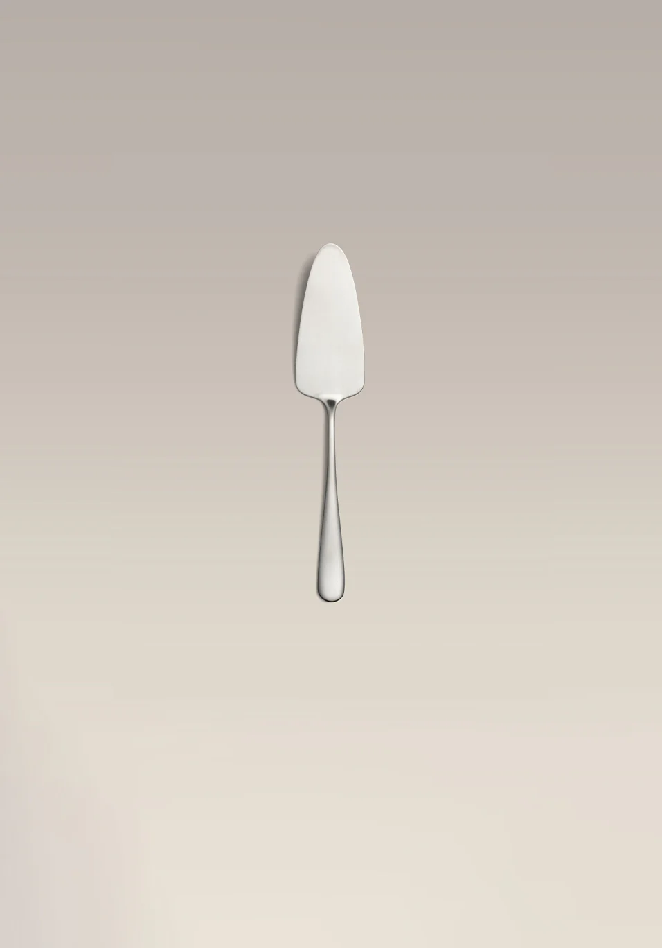 Cake Server