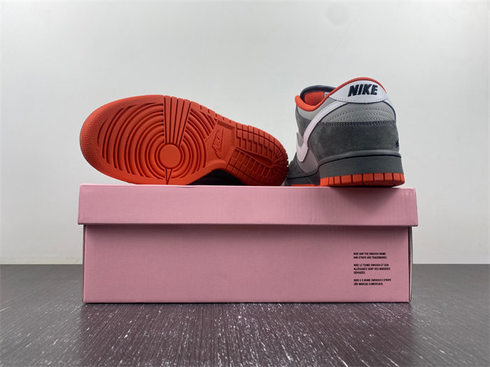 NK SB Dunk Low 304292-011