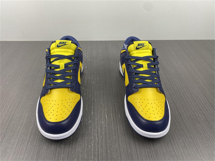 NK Dunk Low Michigan DD1391-700