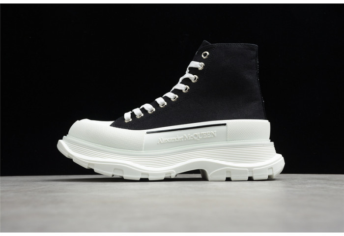 ALEXANDER MCQ11
