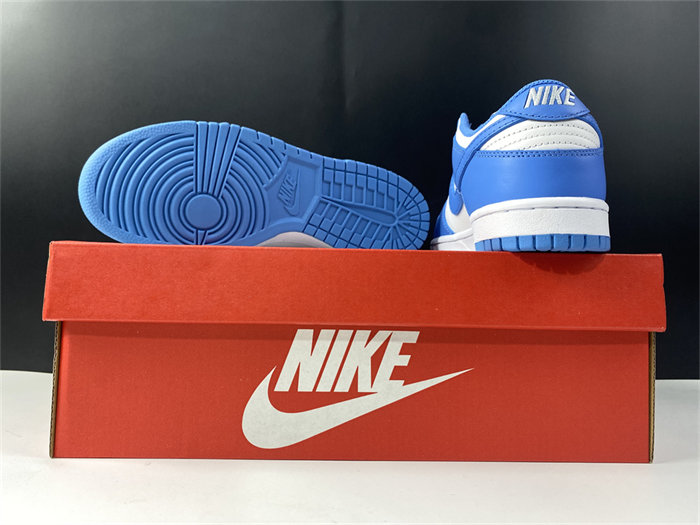 NK Dunk Low UNC DD1391-102