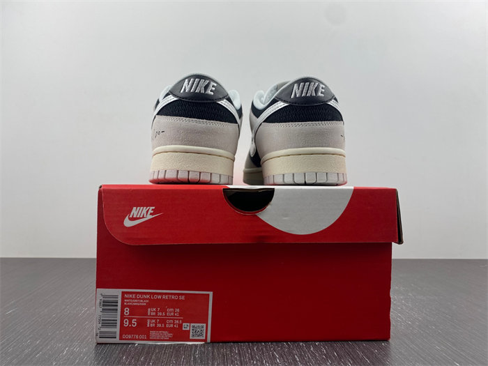 NK Dunk Low DD9776-001