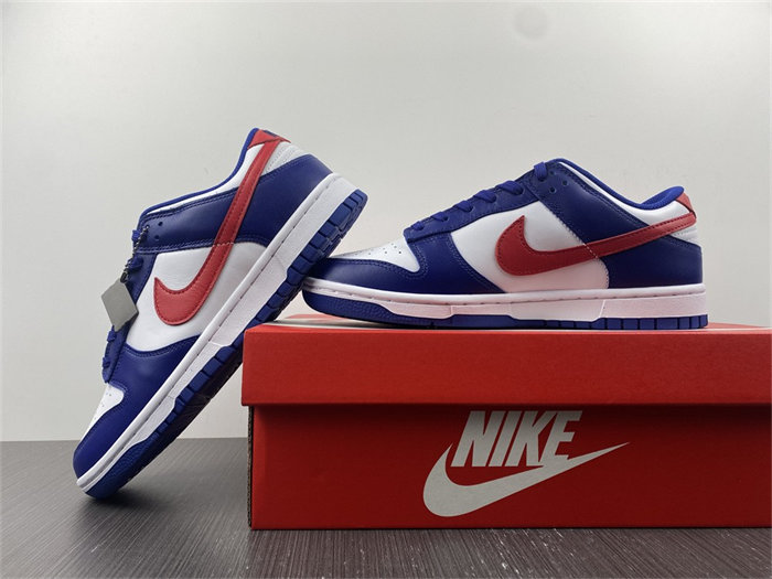NK Dunk Low USA DD1503-119