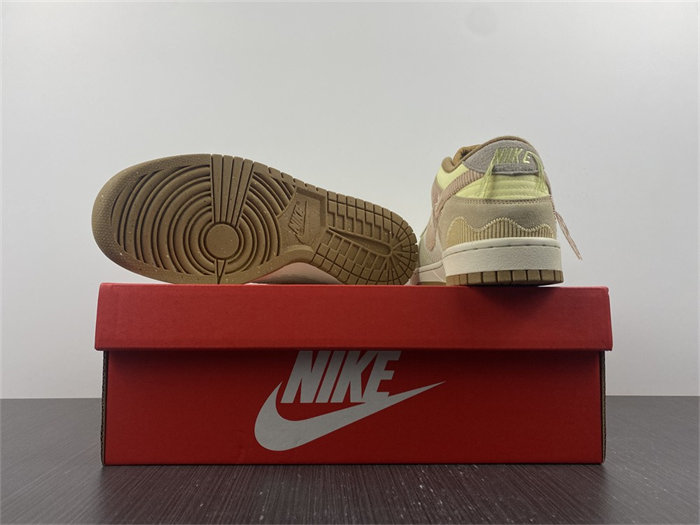 NK Dunk Low On the Bright Side DQ5076-121