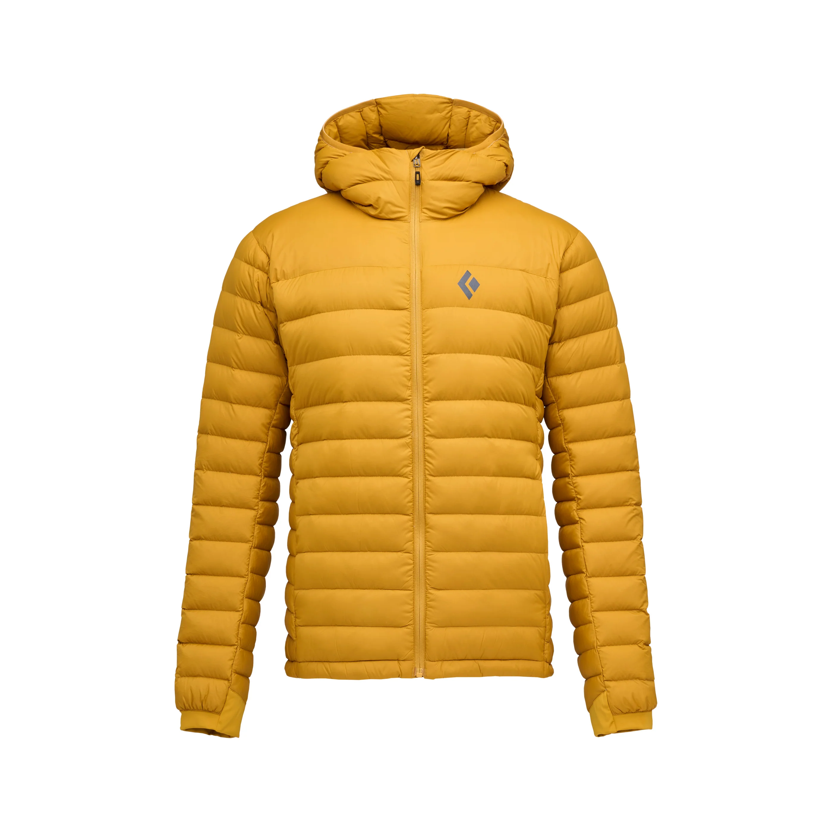 Men's Access Down 2.0 Hoody - Past Season