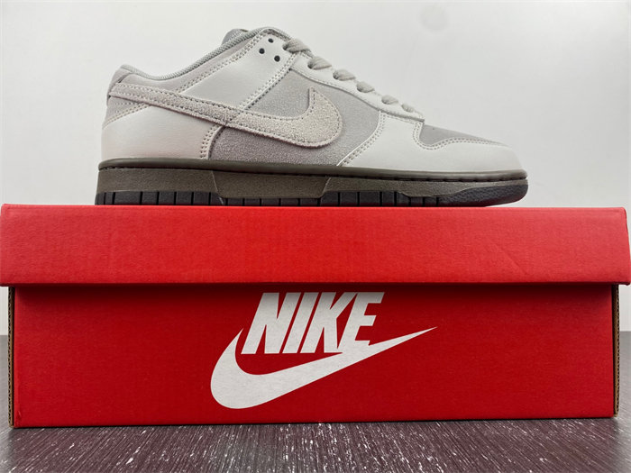 NK Dunk Low Ironstone FD9746-001