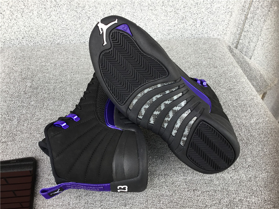 Air Jordan 12 Dark Concord