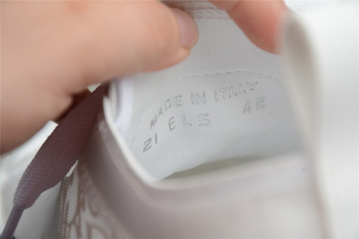 B23 OBLIQUE low TOP SNEAKERS T00853H065