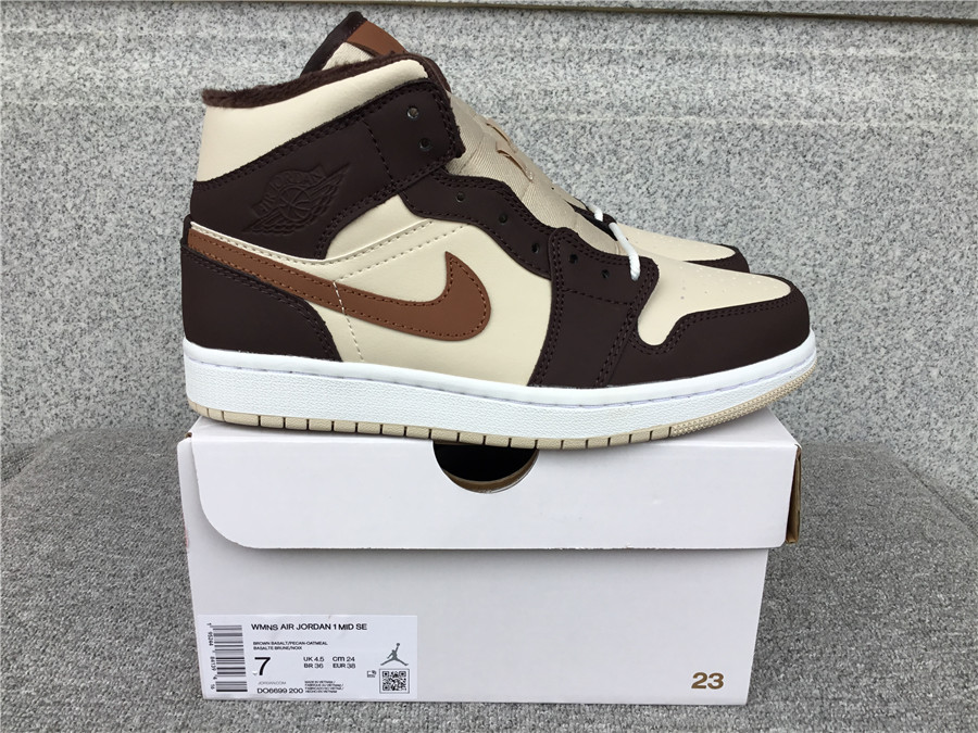 Air Jordan 1 Mid SE DO6699-200