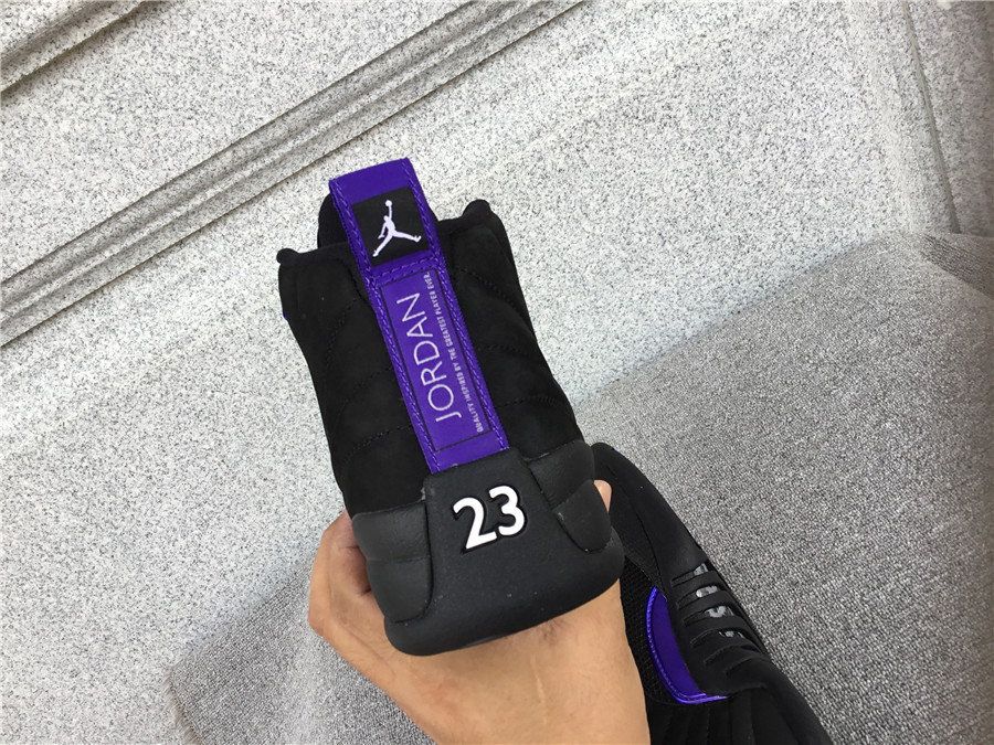 Air Jordan 12 Dark Concord