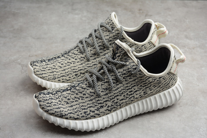 adidas Yeezy Boost 350 Turtle Dove AQ4832